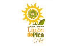 galeria-limon-de-pica-8