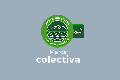 Marca Colectiva