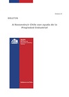 Boletn a Reconstruir Chile con la ayuda de la Propiedad Industrial N8