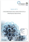 Boletn A reconstruir Chile con la ayuda de la Propiedad Industrial N5